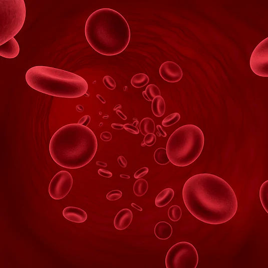 🚀 Reverse™ | سيروم نمو الشعر