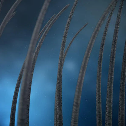 🚀 Reverse™ | سيروم نمو الشعر