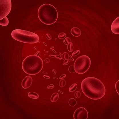 🚀 Reverse™ | سيروم نمو الشعر